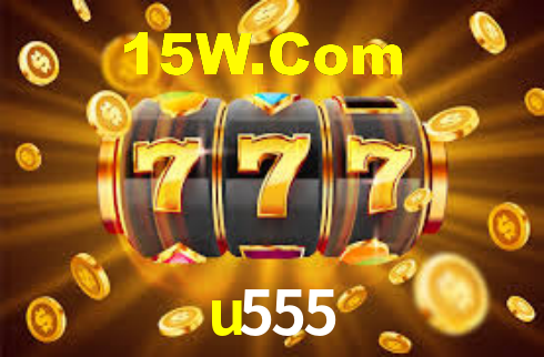 u555 App Interface