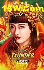 Flash Promotion u555